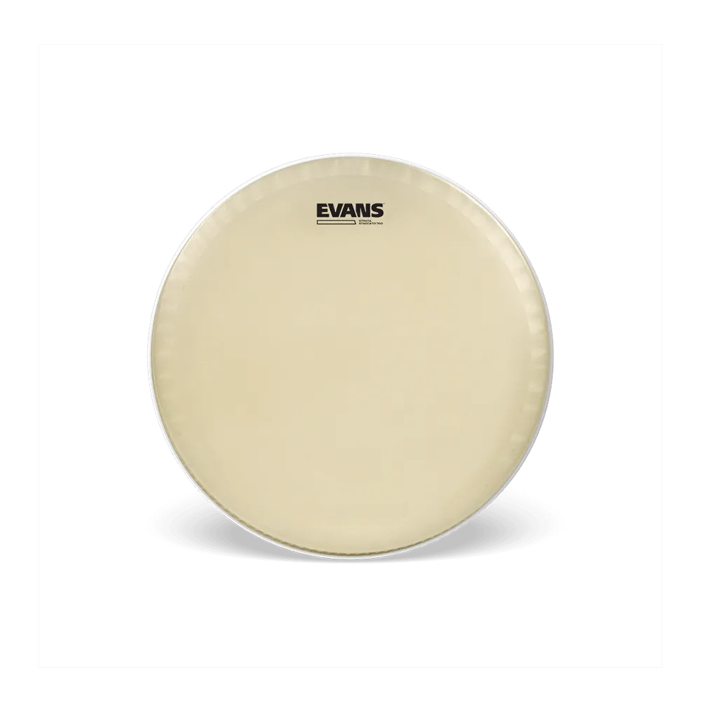 Evans STRATA 700 Staccato (symphonic) 14" Snare Batter