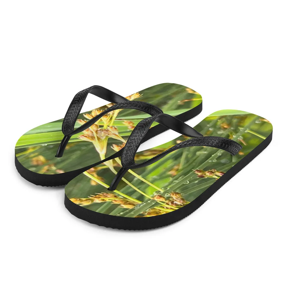 Flip-Flops