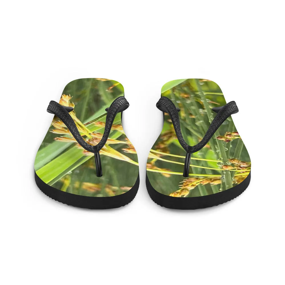 Flip-Flops