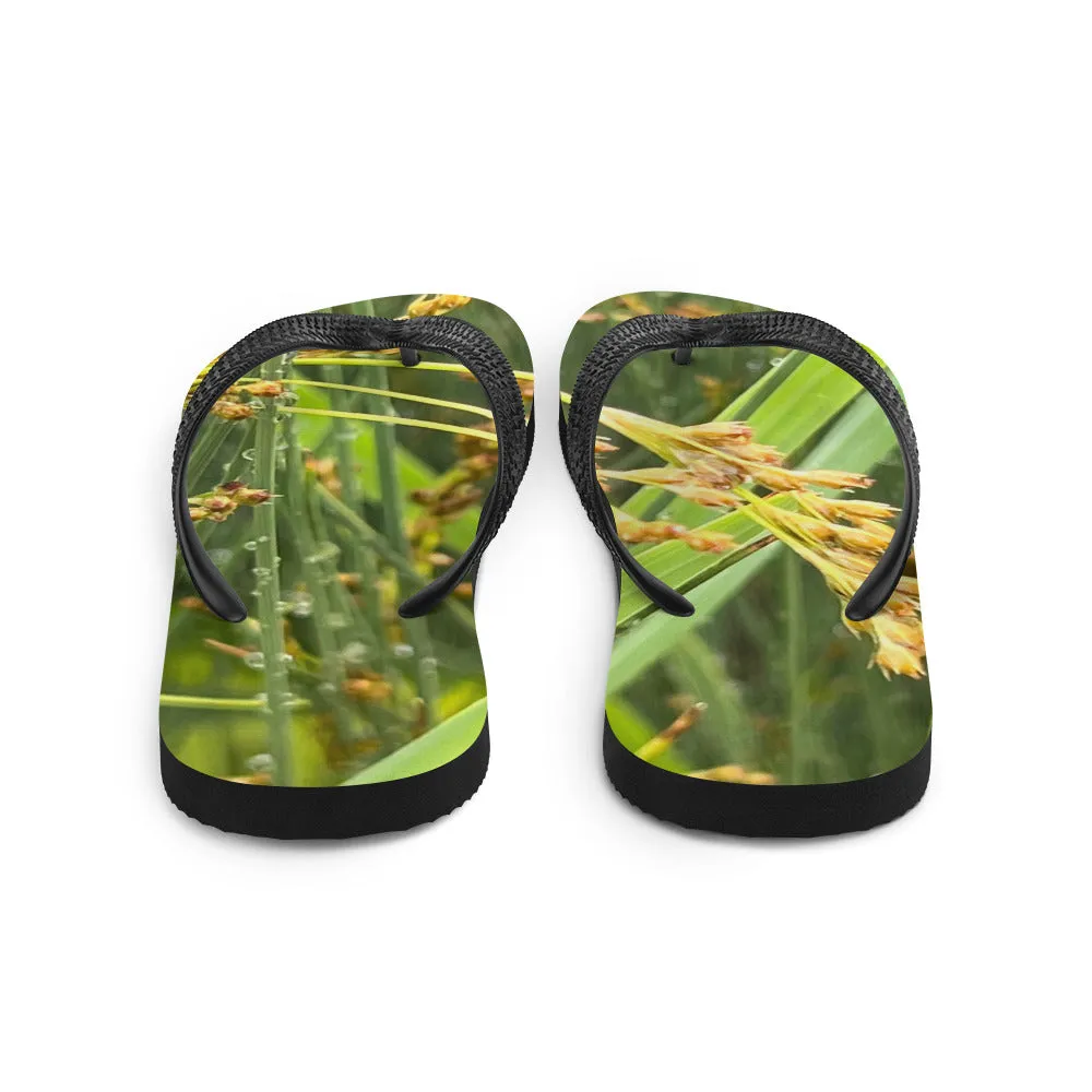 Flip-Flops