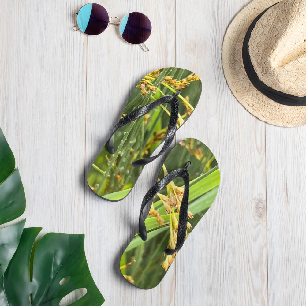 Flip-Flops
