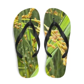Flip-Flops