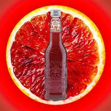Galvanina Organic Blood Orange Soda, 12 fl oz | 355 ml