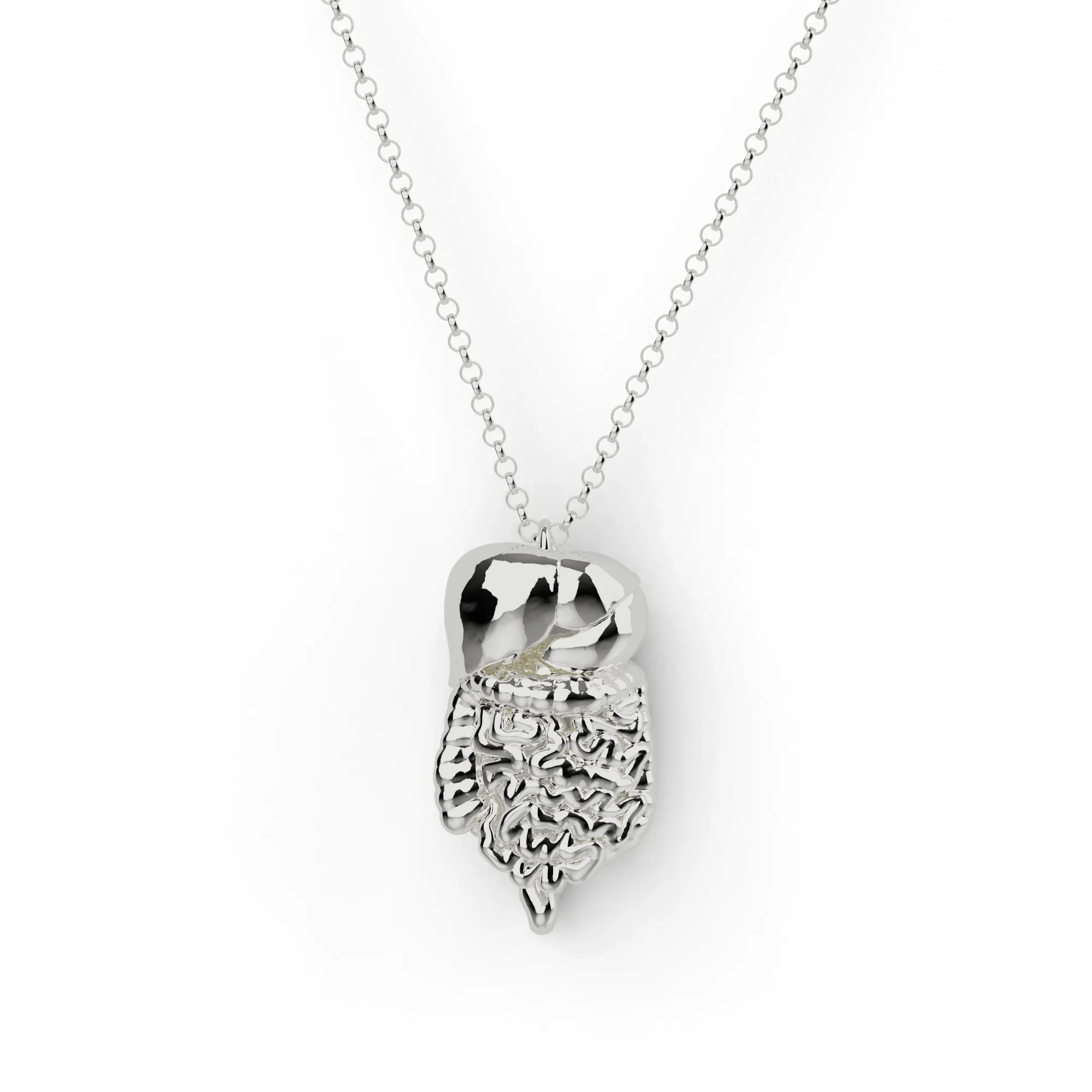 gastro-intestinal tract necklace | silver