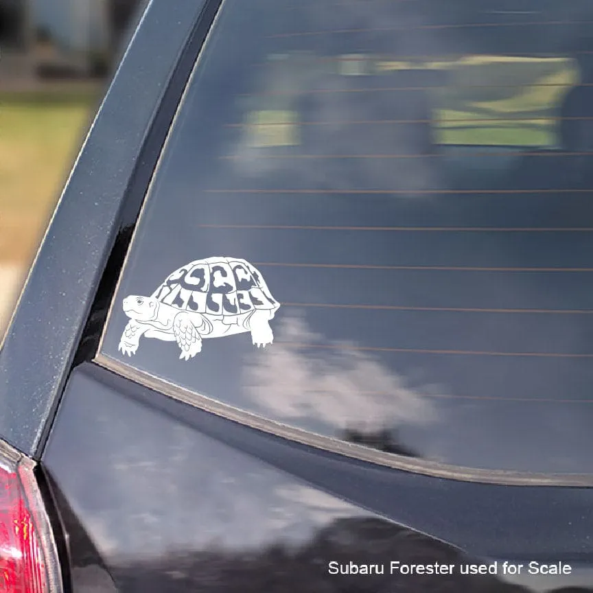Greek Tortoise Waterproof Vinyl Decal, Cute Customizable Reptile Gift