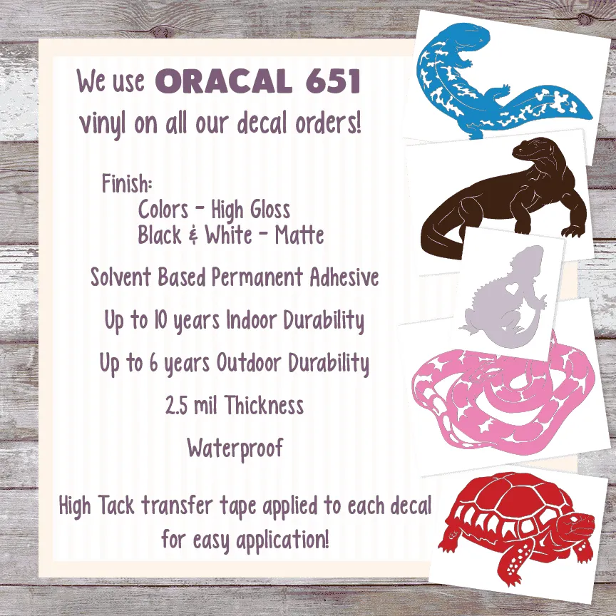 Jackson Chameleon Decal, Waterproof Vinyl Decal, Cute Reptile Gift